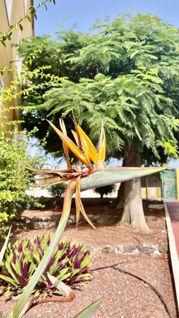 Cozy Two Bed Apartment. Costa Adeje  Exterior foto